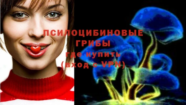 хмурый Магас