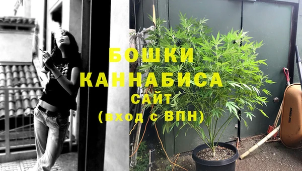 трава Магадан