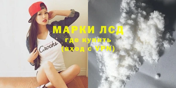 хмурый Магас