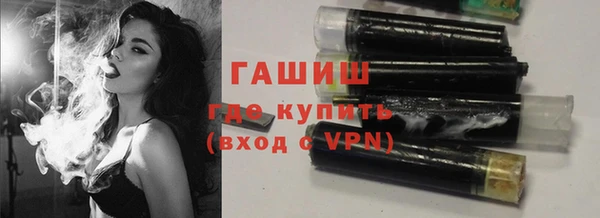 хмурый Магас