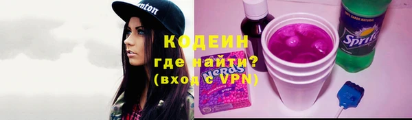 хмурый Магас